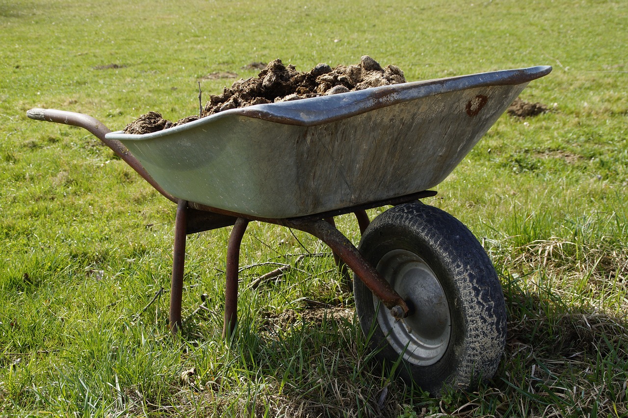 Soil Nutrition- Animal Manure